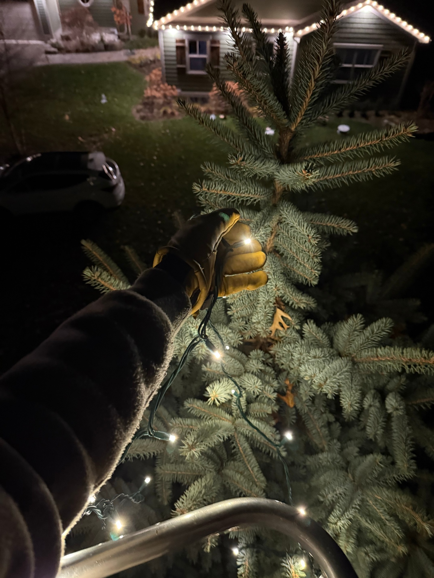 Antoine Landscape Contractors crew installing Christmas lights from a lift in a large tree